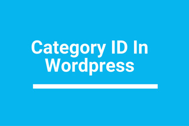 为WordPress后台的分类目录、文章列表、页面列表等添加ID选项-WP主题随想