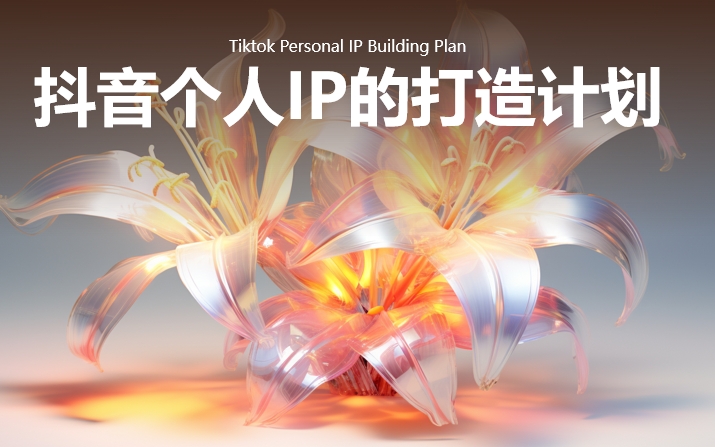 2024抖音个人IP的打造计划课件-素材快跑